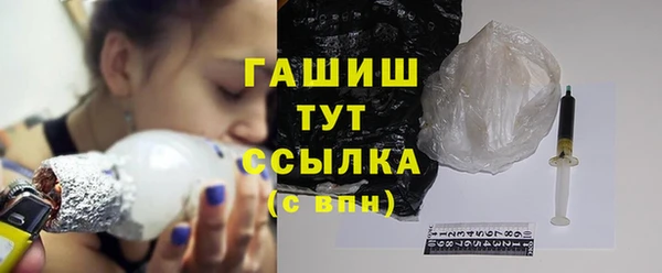 стаф Алзамай