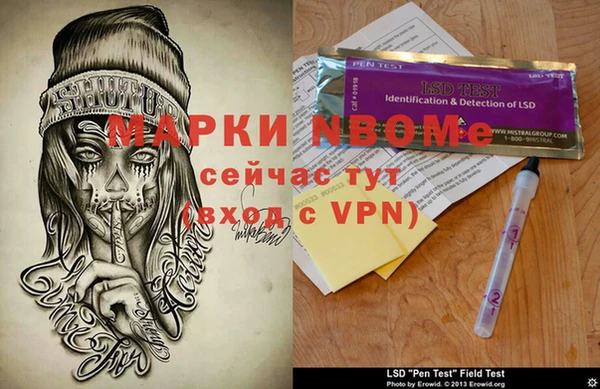 стаф Алзамай