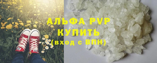 стаф Алзамай