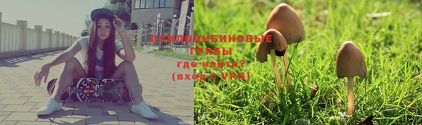 ПСИЛОЦИБИНОВЫЕ ГРИБЫ Болохово