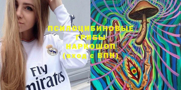 ГАЛЛЮЦИНОГЕННЫЕ ГРИБЫ Абинск