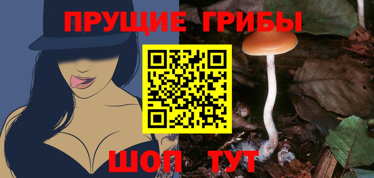 Тавда  Галлюциногенные грибы Magic Shrooms  Вход с VPN  Галлюциногенные грибы Magic Shrooms 